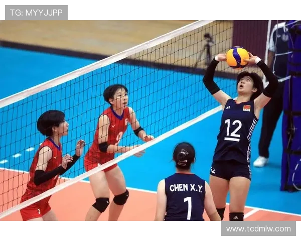 杭州排球队在全国排球意识排行榜中荣获第五名的辉煌成就